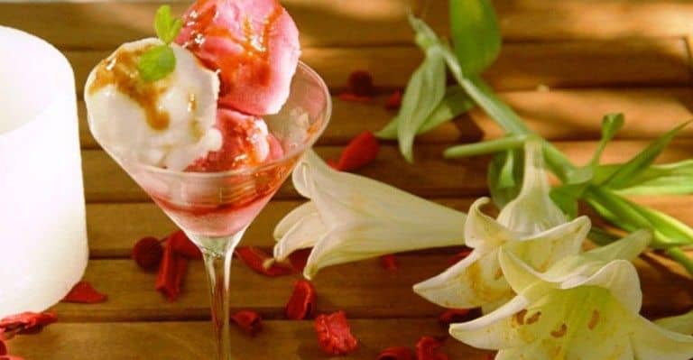 הפקת ימי כיף