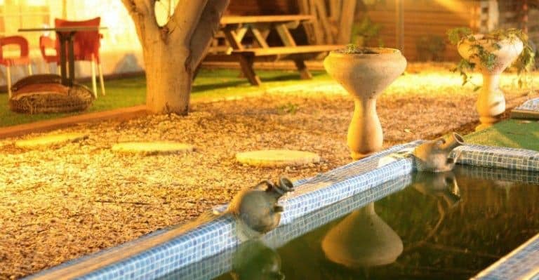 מסיבת רווקות איכותית